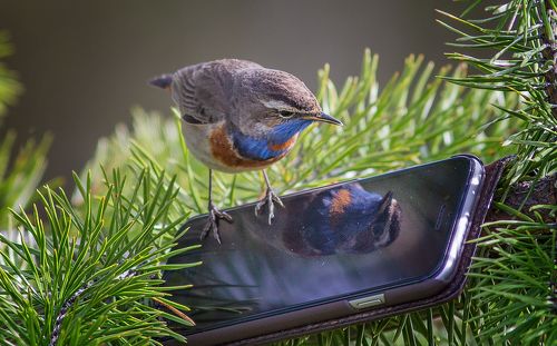 Свет мой,зеркальце,скажи....))))