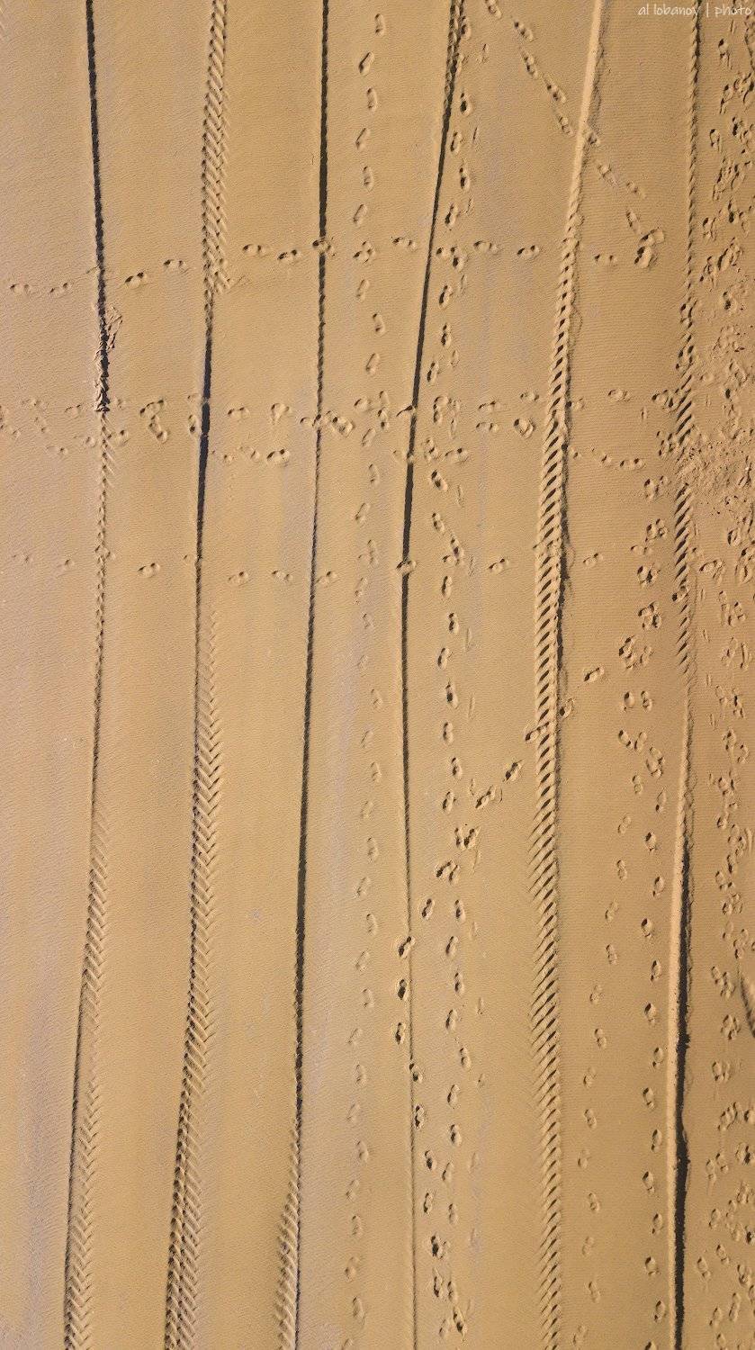 , Алексей Лобанов