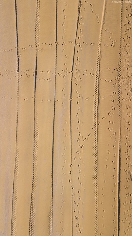 Строительный вальс фото превью