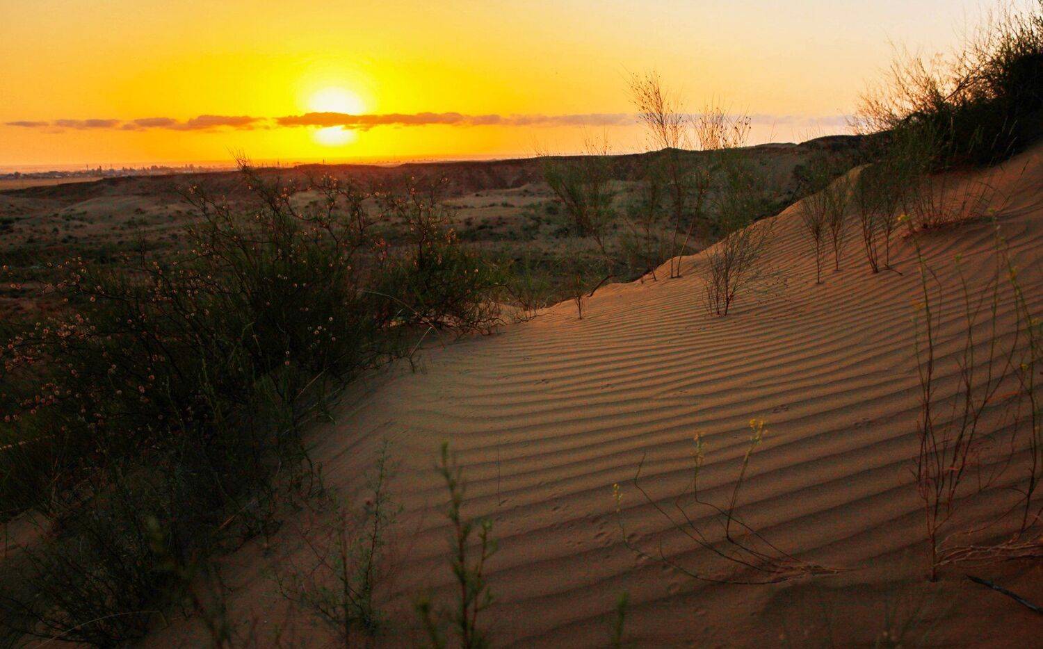 рассвет,пески,сары кум,жёлтые пески,дагестан.., Marat Magov
