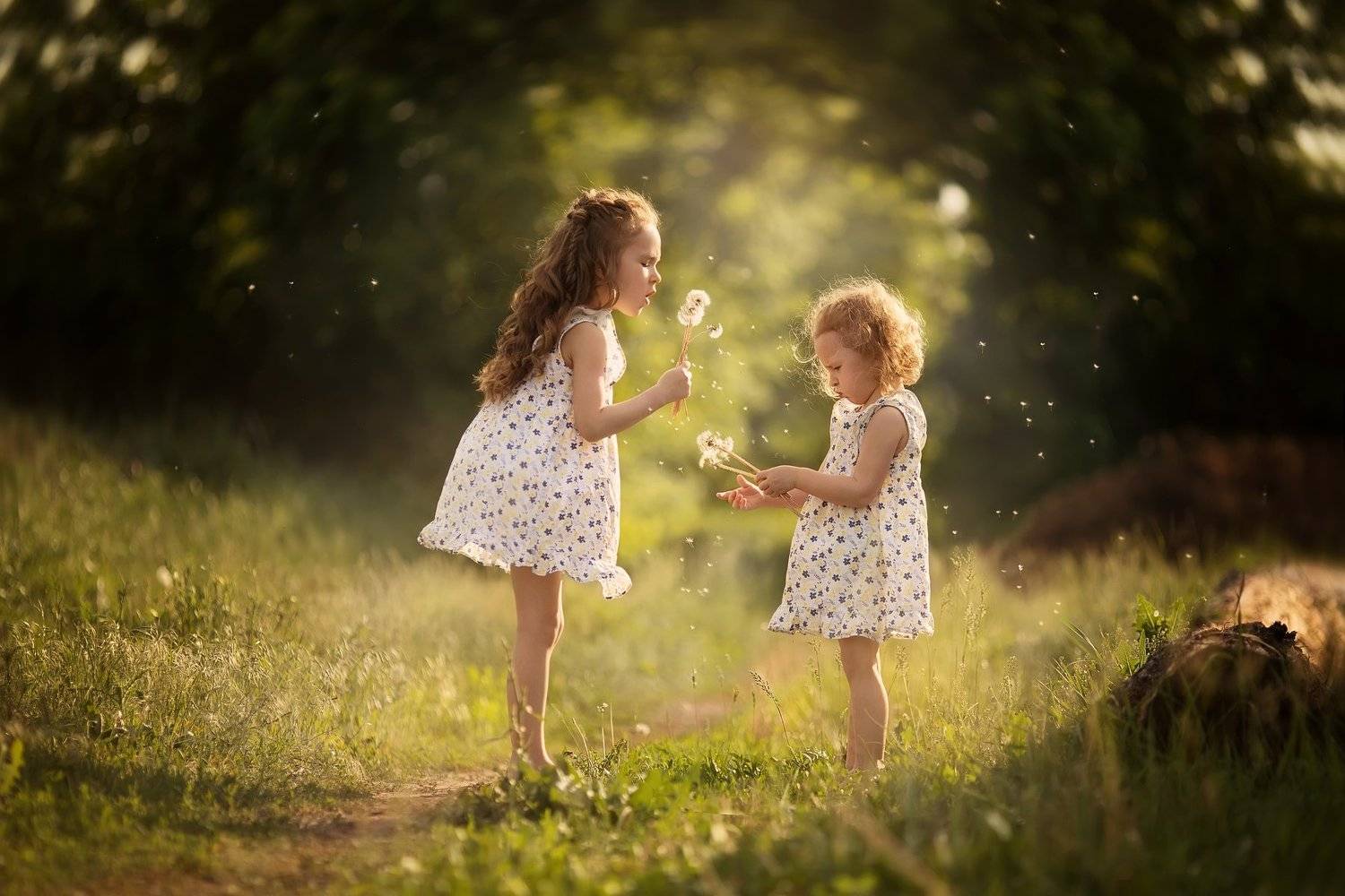 , Журавель Саша