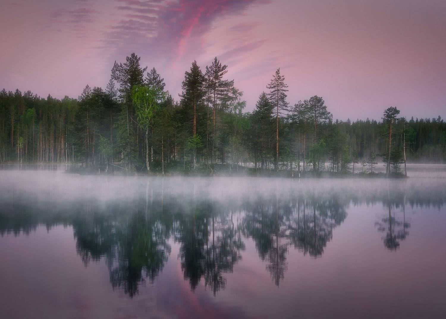 , Антон Дмитриев