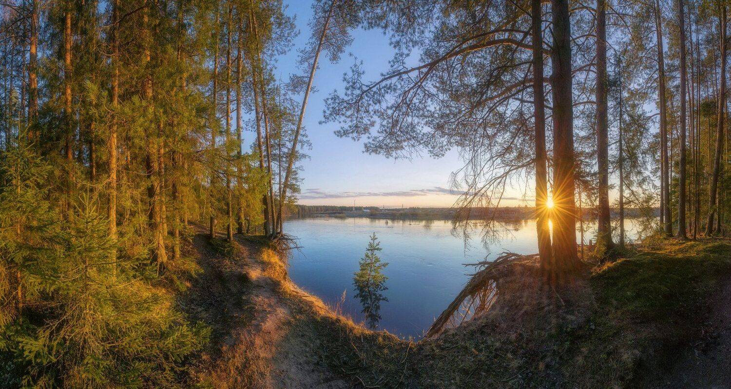 , Устюжанин Михаил