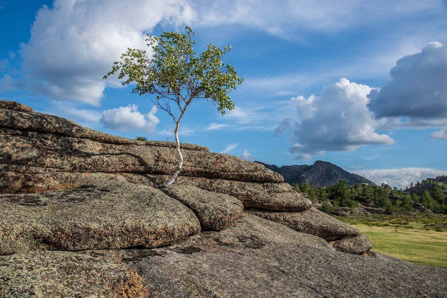 горы, Евгений Дроботенко