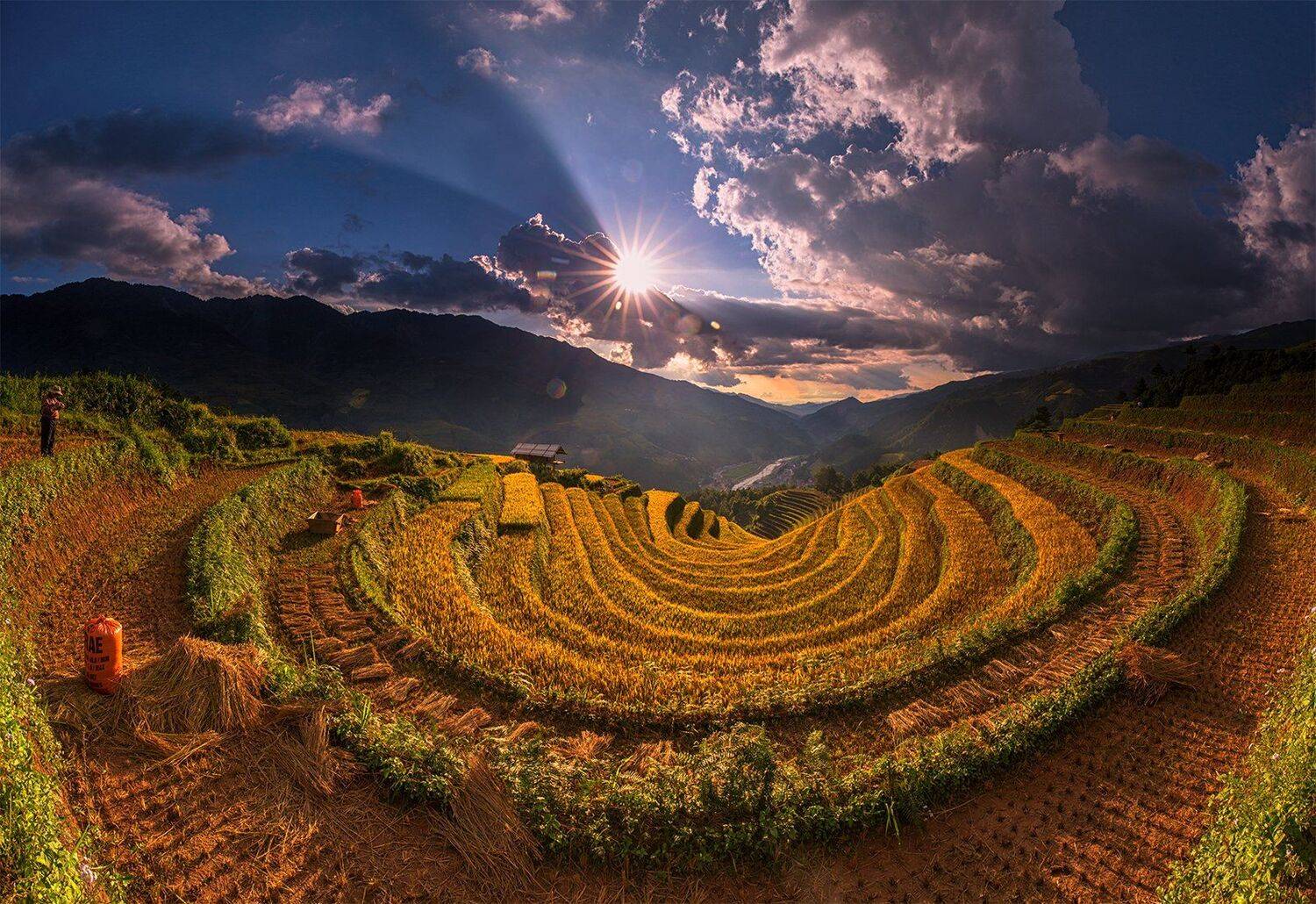 , vannguyenhop29@gmail.com