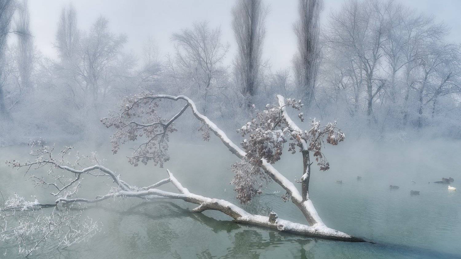 , Alexander Plekhanov