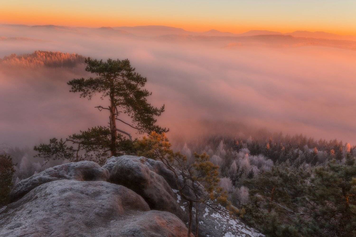 landscape,canon,mist,light,autumn,frost, Iza i Darek Mitręga