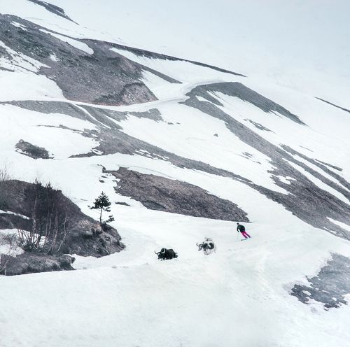Встреча в Домбае
