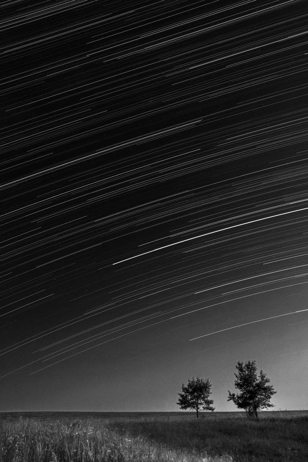 , Роман Рыжков