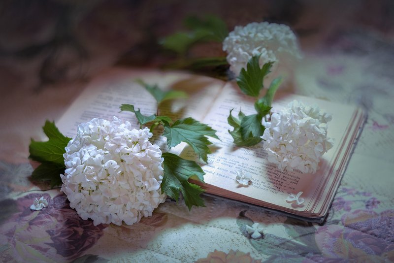 Еще немного и Прованс ... фото превью