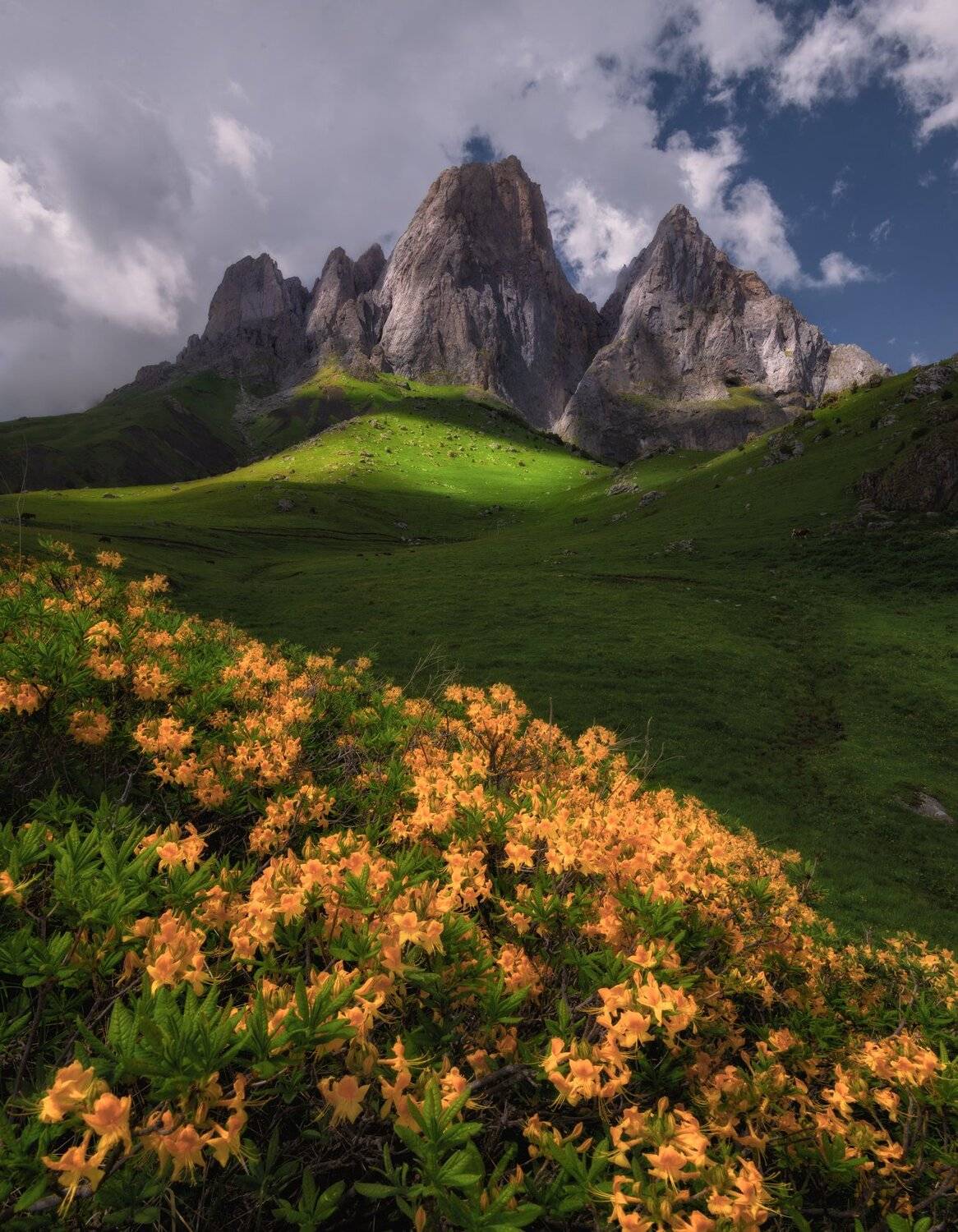 ингушетия, кавказ, Андрей Грачев