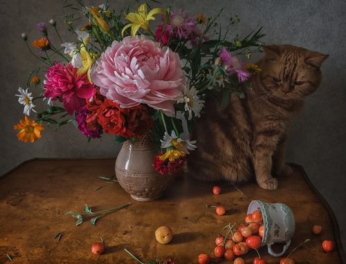 Кот и букет