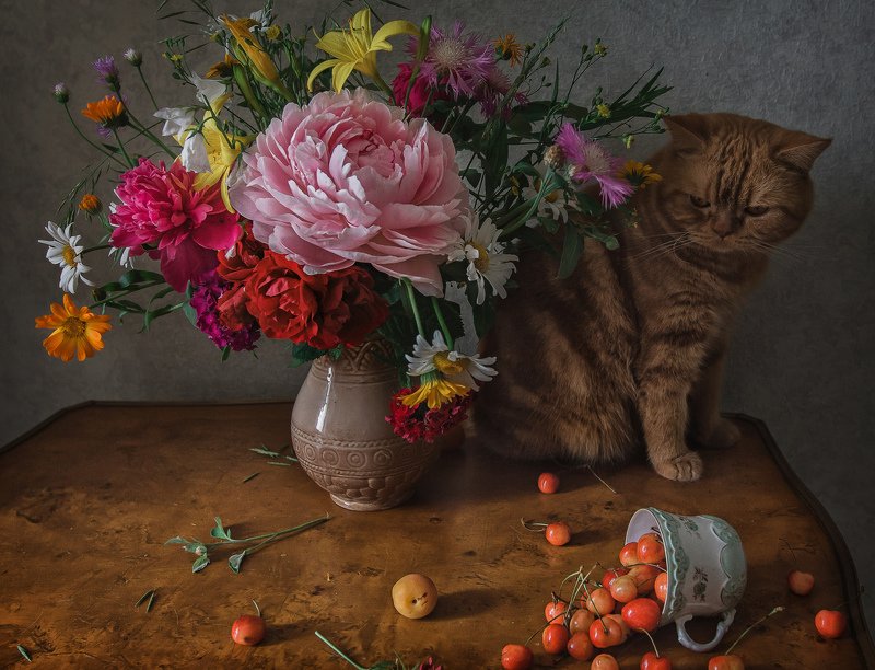 животные, кошки, кот, натюрморт, цветы, ягода, черешня Кот и букет фото превью