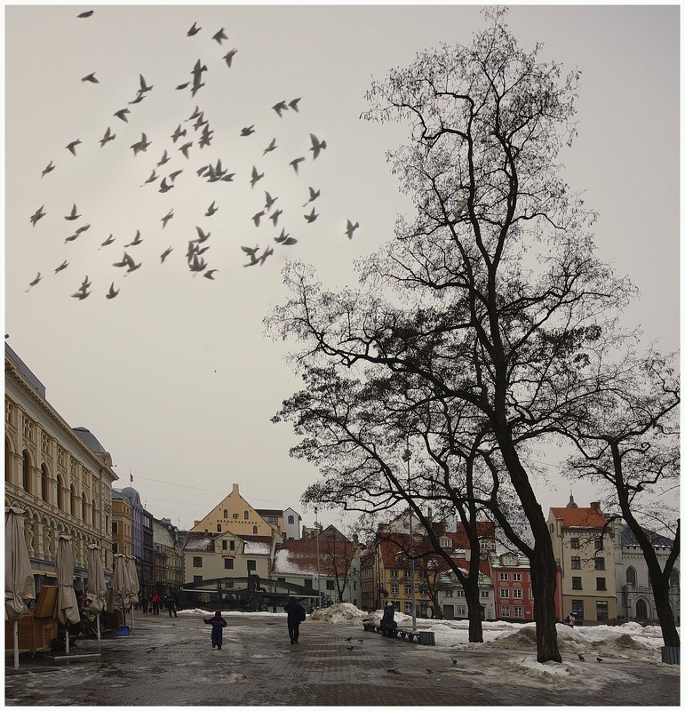 Старый город. фото превью