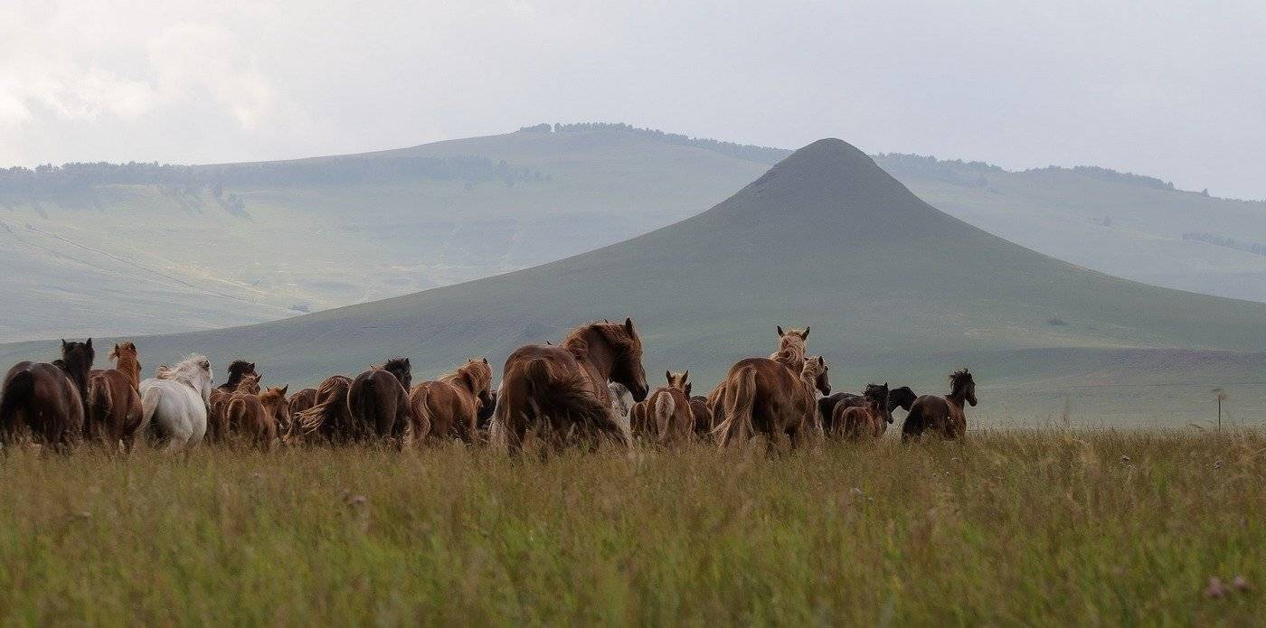 , Марина Фомина