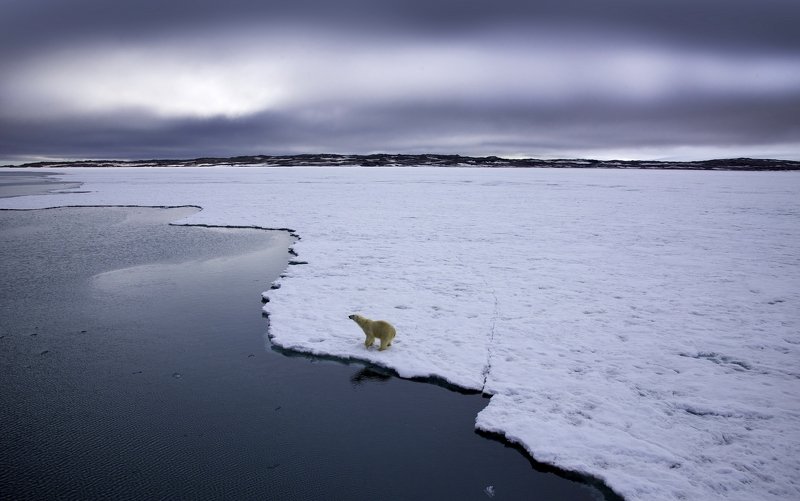 * фото превью