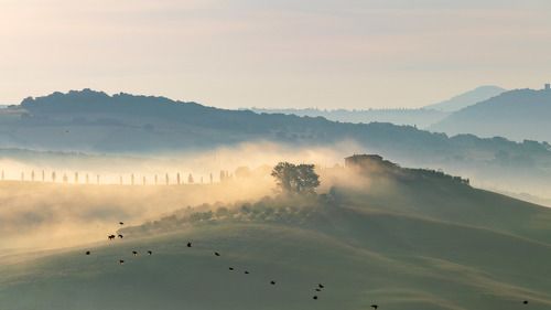 Classic Tuscany morning