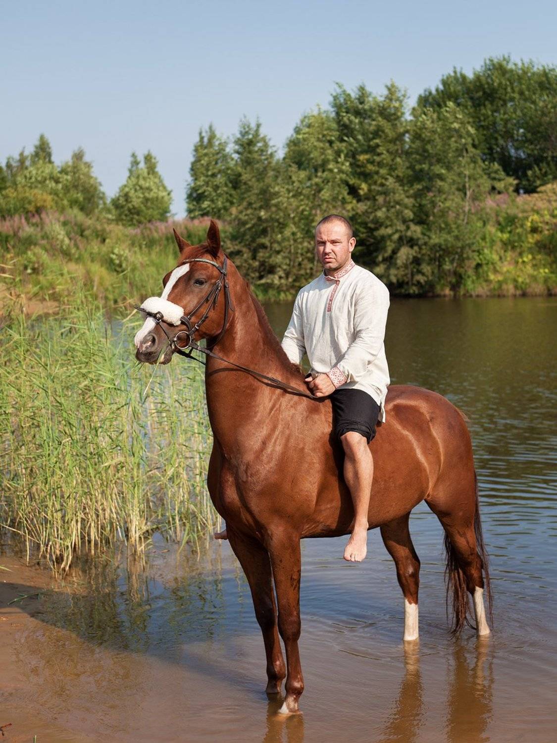 , Горшечников Сергей