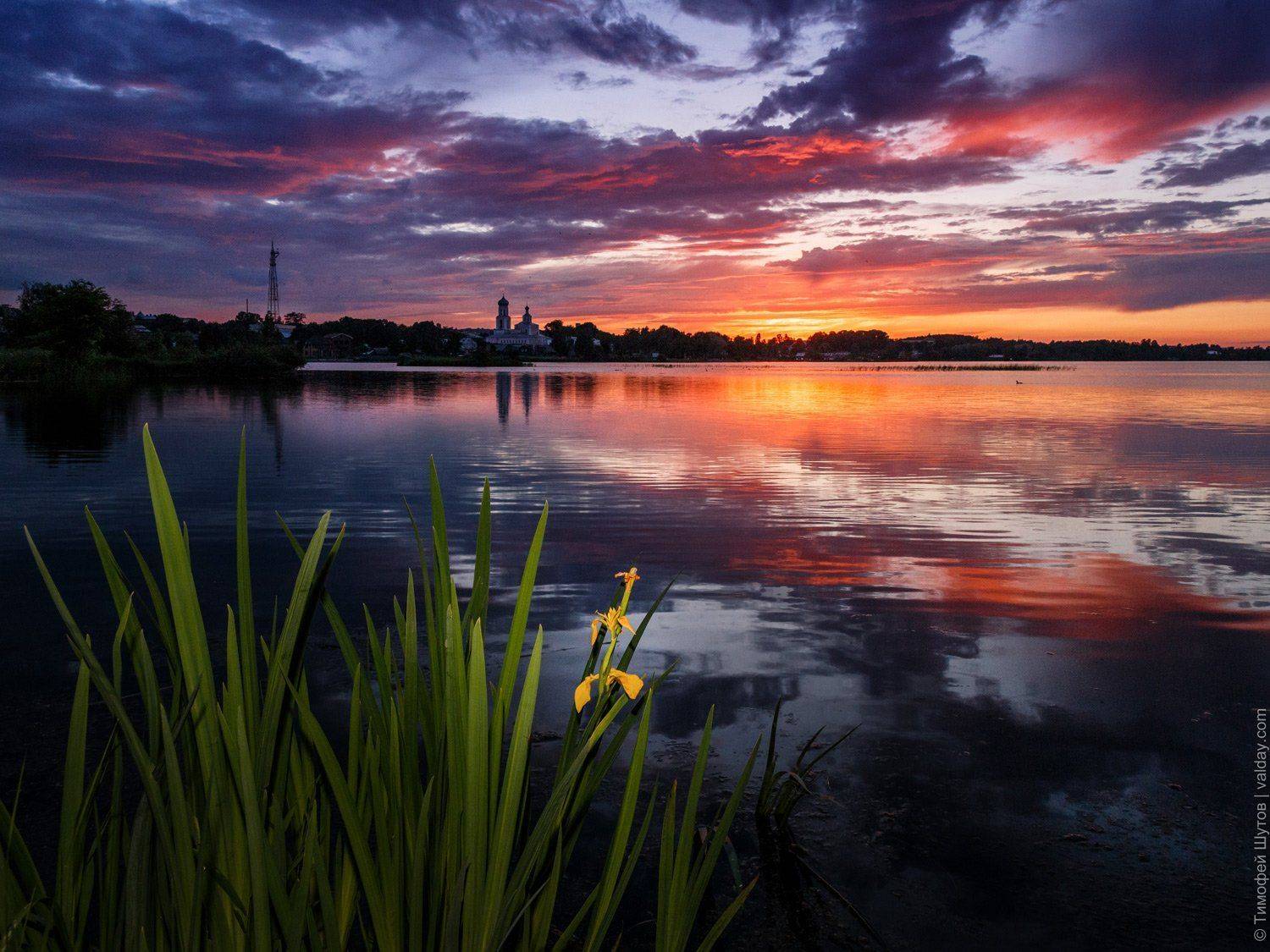 валдай, Тимофей Шутов