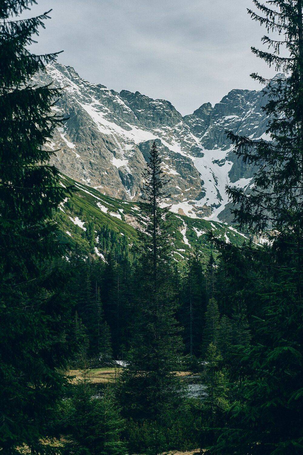 , Александр Фанковин