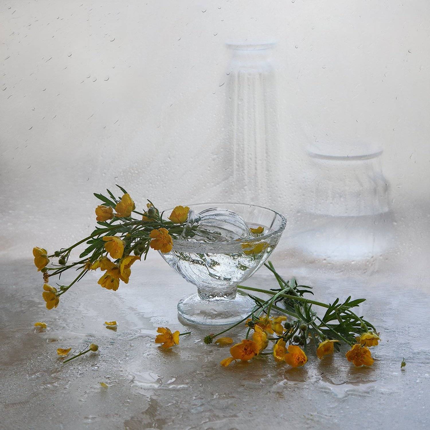 дождь, лютики, лето, Татьяна Назмутдинова