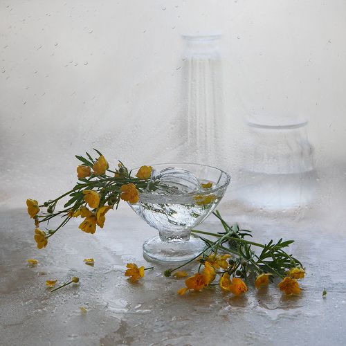 Летний дождь