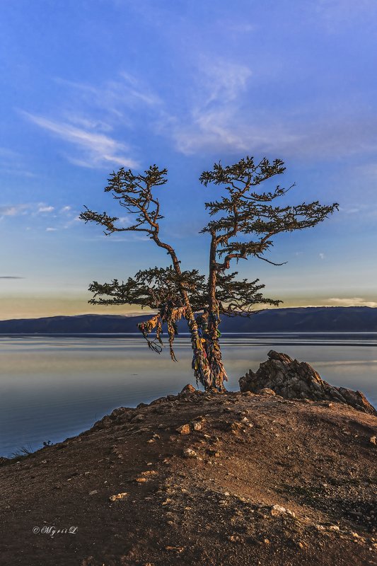 утро, восход, пейзаж, отражение, озеро, Байкал, зори Утренний свет фото превью