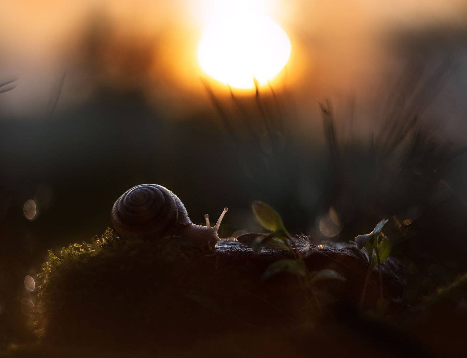 , Екатерина Науменко