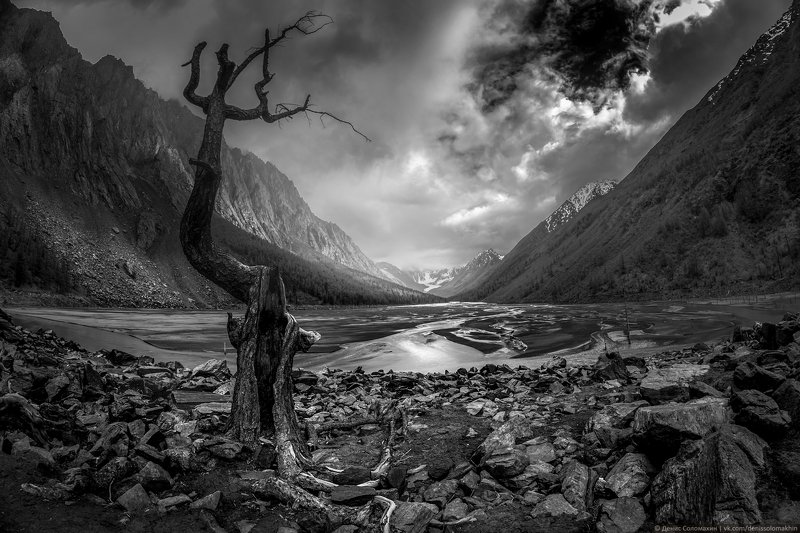 #фотоклуб #фотоклубсфера #сфера #алтай #маашей #мажой #цетральныйалтай #северочуйскийхребет #счх #nikon #nikond750 #samyang #чб Молитва фото превью