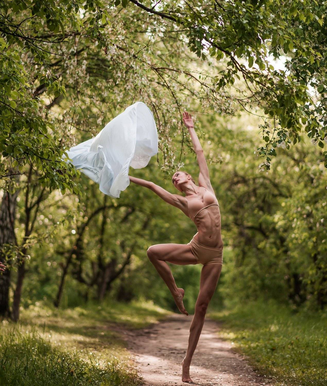 , Терра Алена