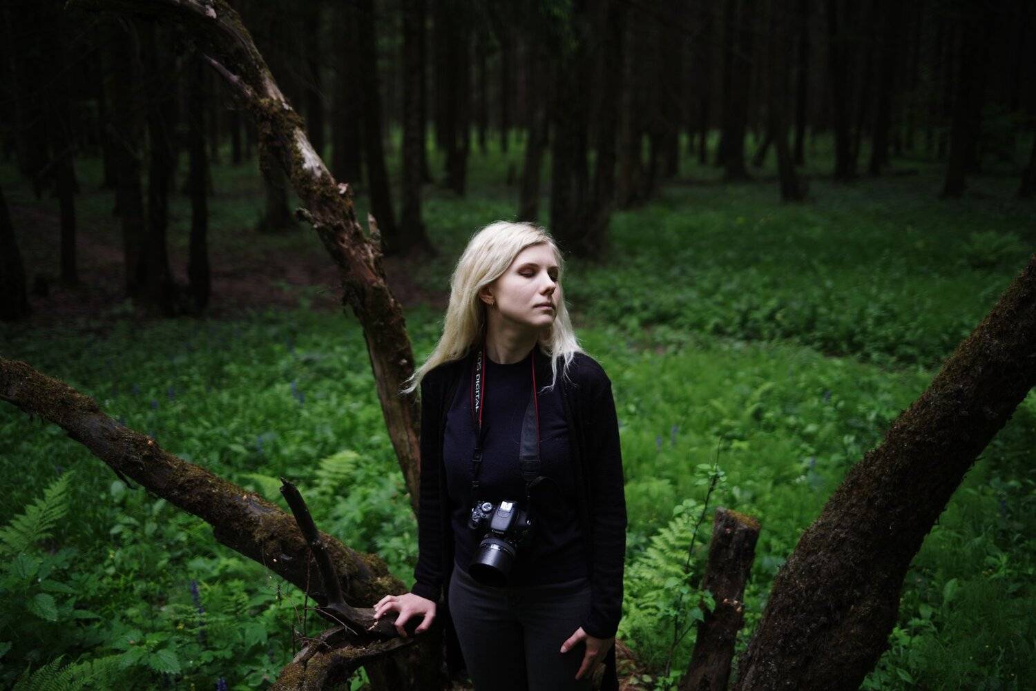 лес, Алексей Егоров