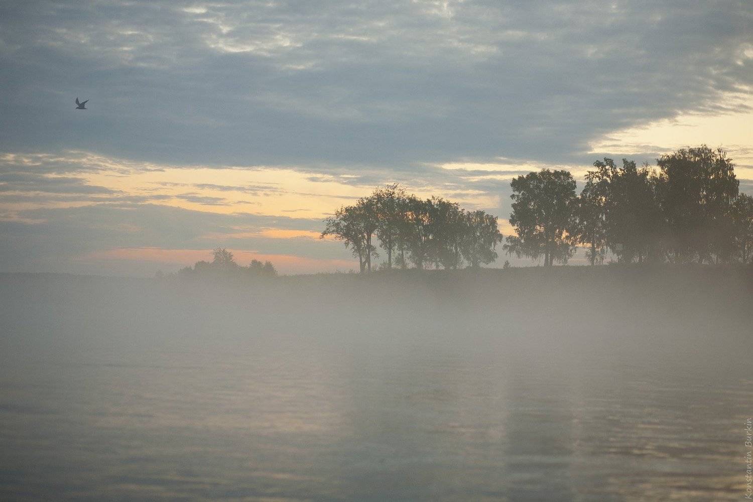 , Константин Буркин