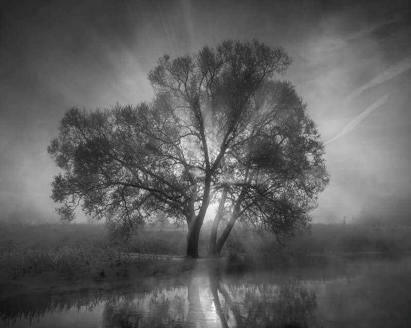 Черно-белый рассвет фото превью