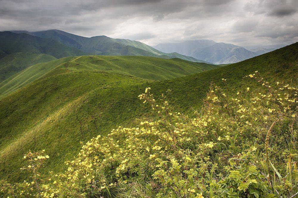 кыргызстан, горы, Элина Магалимова