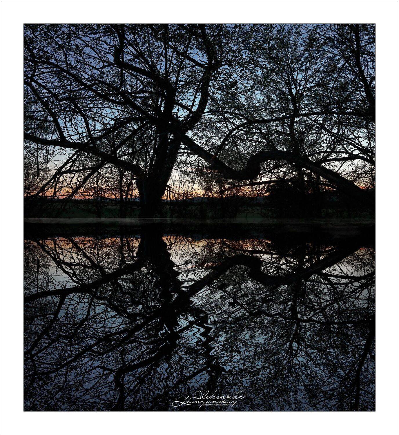 забайкальский край, Александр Леснянский