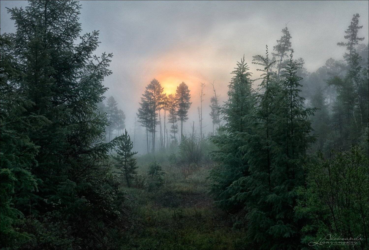 забайкальский край, Александр Леснянский