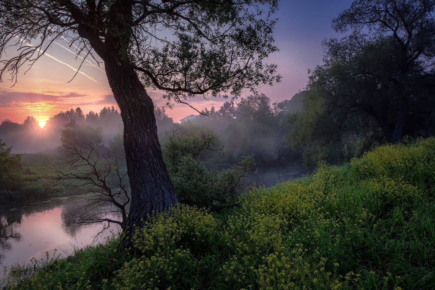 истра, река, пейзаж, дом, утро, рассвет, дерево, туман, лес, вода, небо, следы, Андрей Чиж