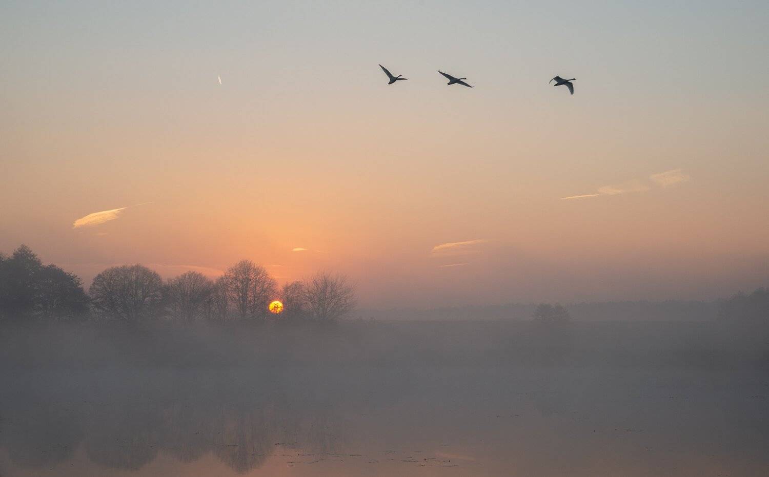 , Николай Шахманцир