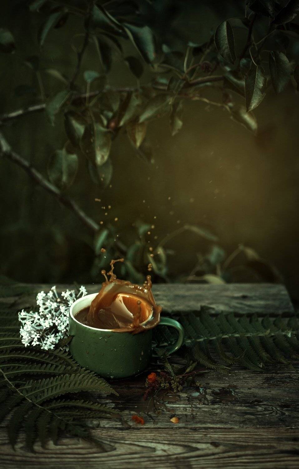 , Йоко Смирнова