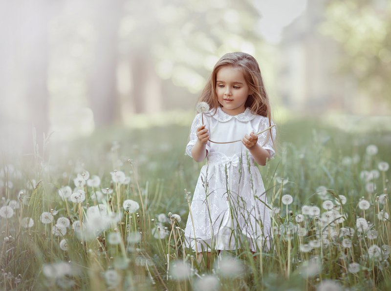 детство, детский портрет, лето, девочка, настроение, одуванчики, белое Одуванчиковое настроение фото превью
