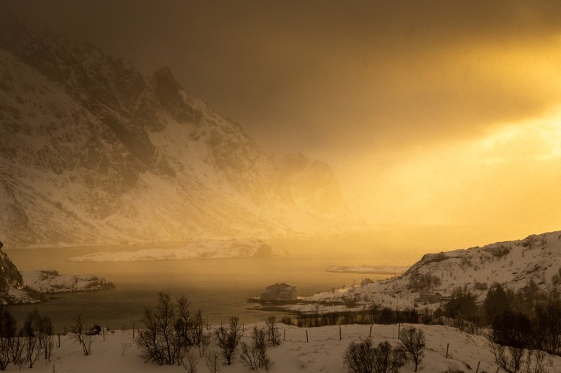 The light фото превью
