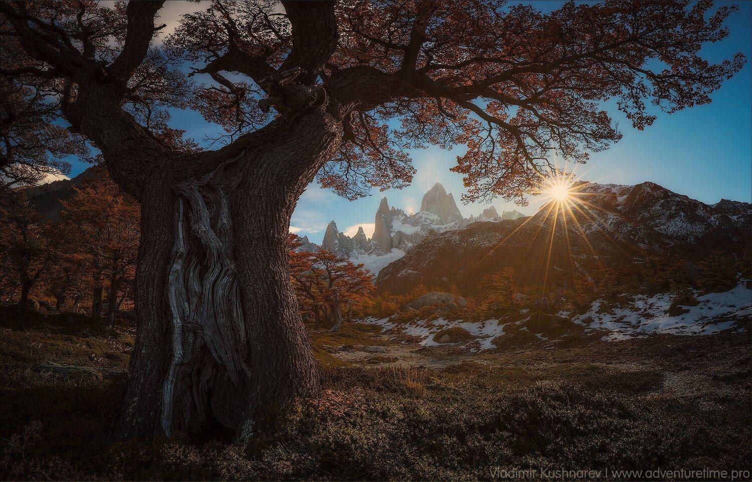 , Vladimir Kushnarev