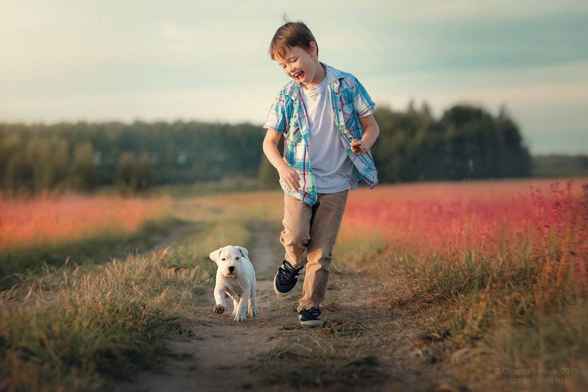 собака, мальчик, ребенок, собака, щенок, аргентинский дог, поле, движение, солнце, лето, розовый, счастье, дружба, смех, бег, Оксана Серова