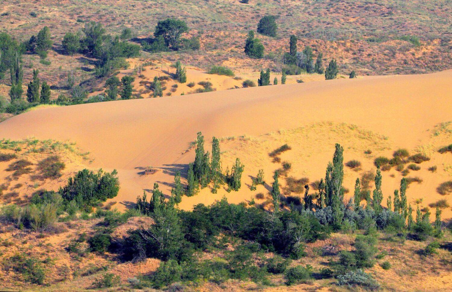 сары кум,песок,гора.природа,пустыня,дагестан., Marat Magov