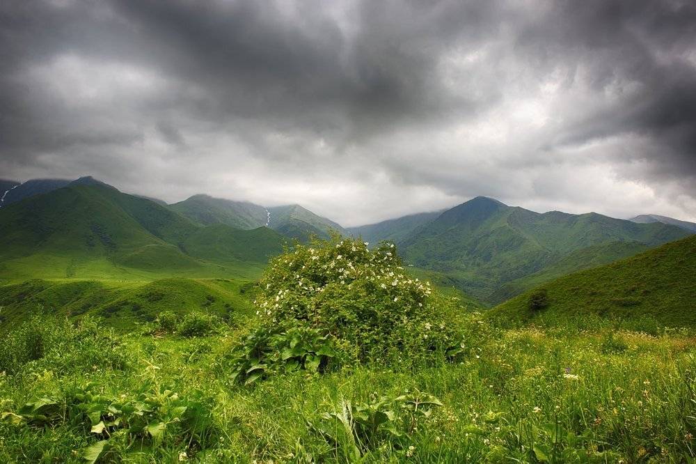 кыргызстан, горы, Элина Магалимова