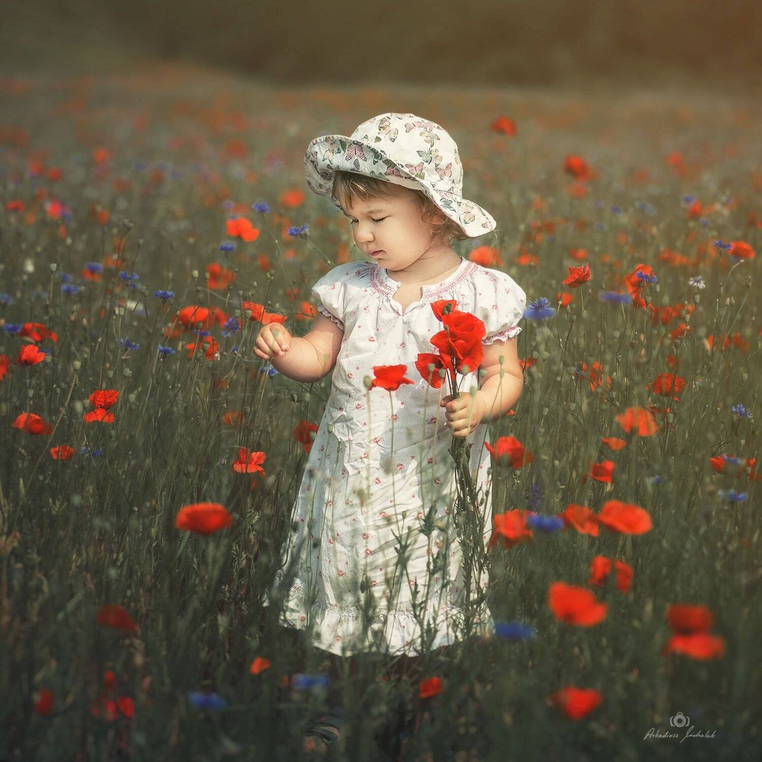 , Arkadiusz Michalak