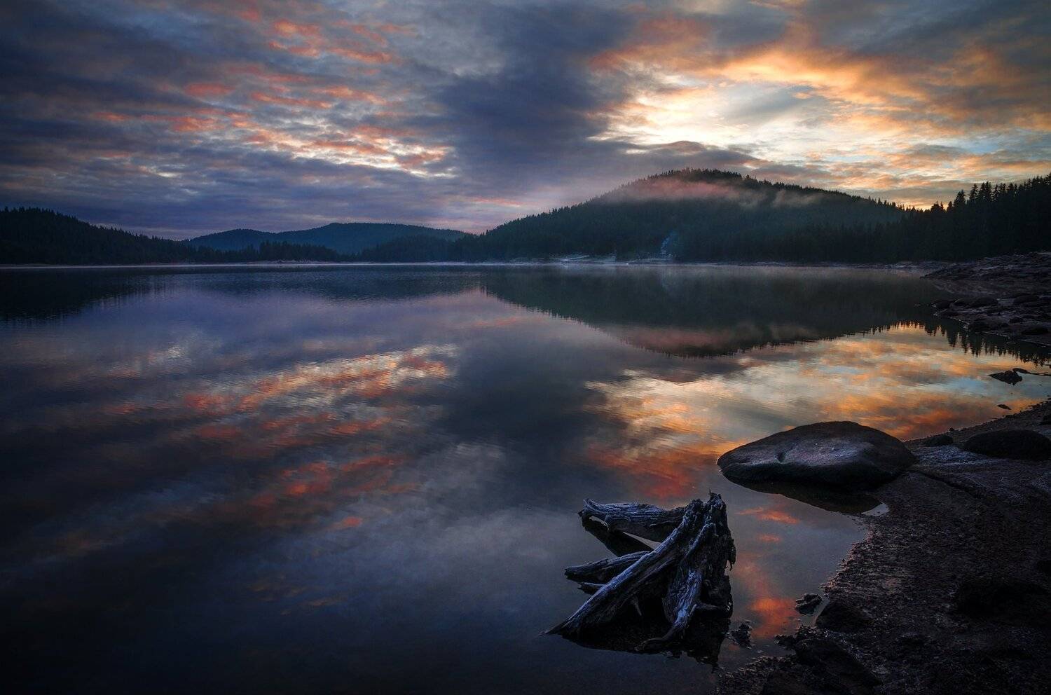 landscape nature scenery lake wood mist misty fog foggy light sunlight morning sunrise reflections mountain rhodopi bulgaria туман озеро утро, Александър Александров