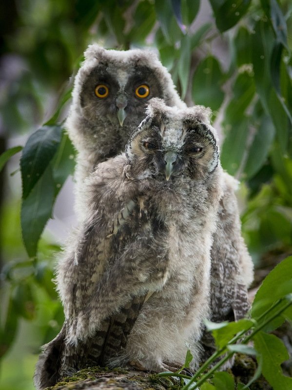 Не ссы, я разберусь. фото превью