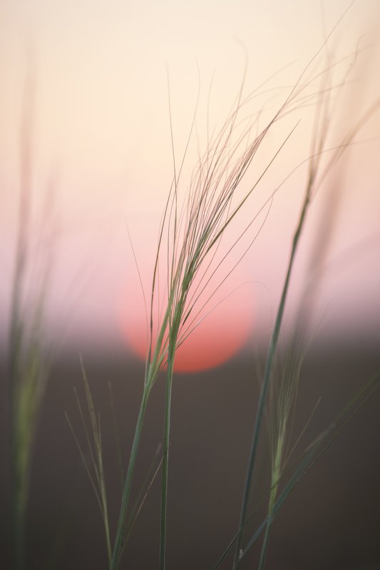 Серия Долина ветров фото превью