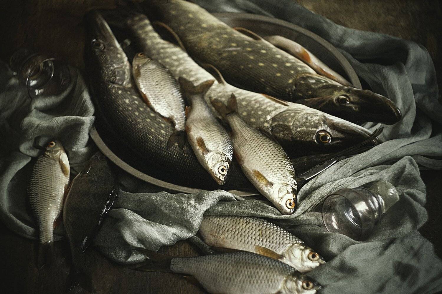 натюрморт, рыба, много, Ольга Алексейчик